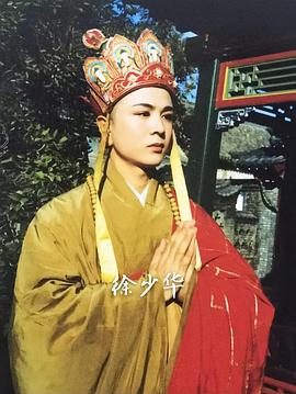 徐少华