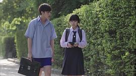 普洛伊·索娜琳