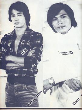 元华