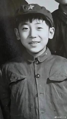 宁理