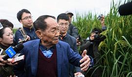 袁隆平