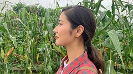 唐齐遥