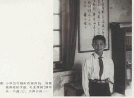 濮存昕