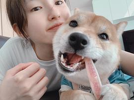 井上小百合