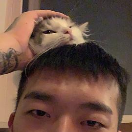 禹元材