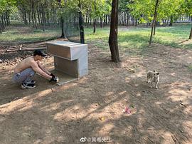 黄骞