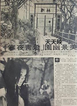 秦梦