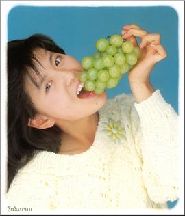 南野阳子