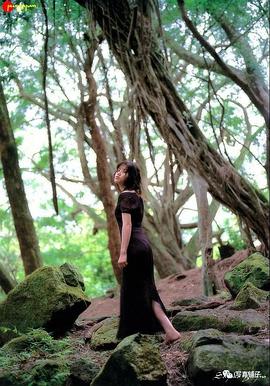 吉野纱香