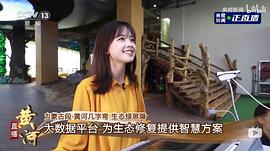 王冰冰
