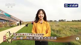 王冰冰