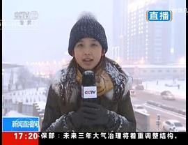 王冰冰