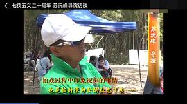 苏沅峰