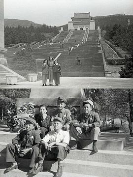 张建珍