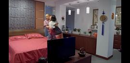 苑冉