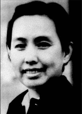 陈波儿