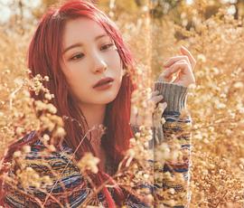 李彩燕