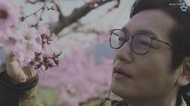 井浦新