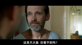 桑德尔·泽绍特