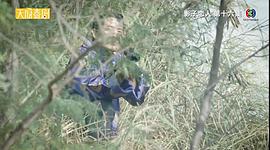 派泰·普洛伊米卡