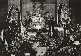 但杜宇
