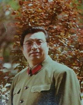 李双江