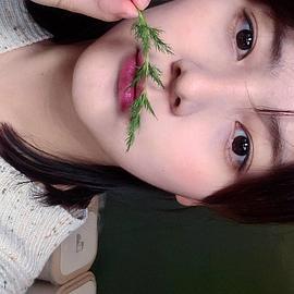 宋侑庭