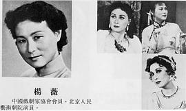 杨薇