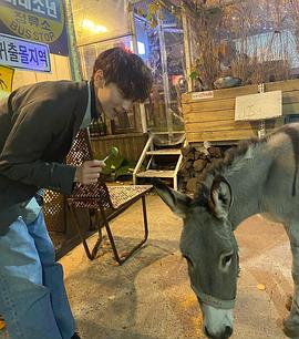 崔载炫