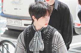 崔杋圭