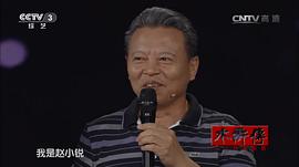 赵小锐