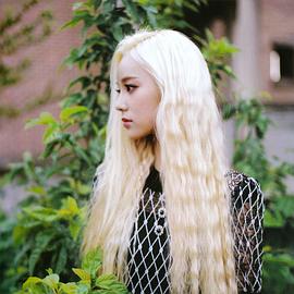 郑真率