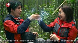 大张伟