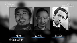 张辛实