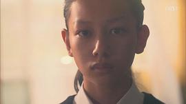 长泽树