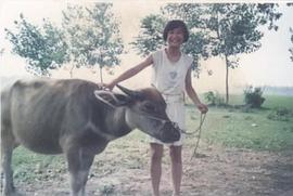 贾玲