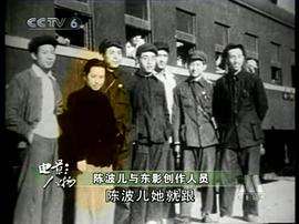 陈波儿