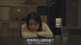 泷本美织