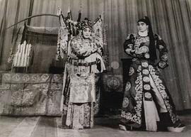 王晓云