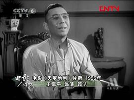 卫禹平