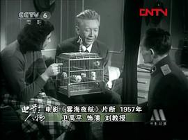 卫禹平