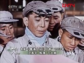 卫禹平