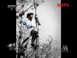 卫禹平