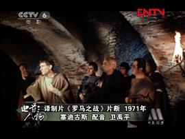 卫禹平