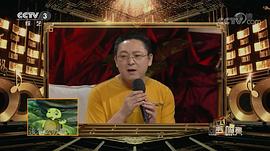 张云龙