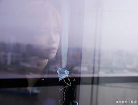 鹿晗