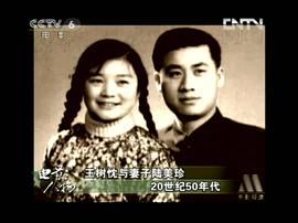 王树忱