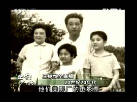 王树忱