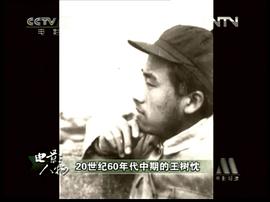 王树忱