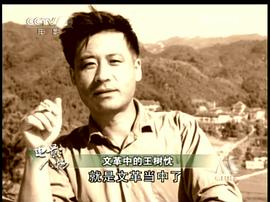 王树忱